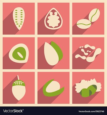 Flat with shadow concept and mobile application vector image