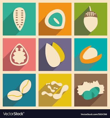 Flat with shadow concept and mobile application vector image