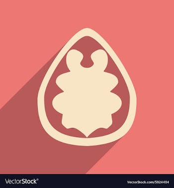 Flat with shadow concept and mobile application vector image