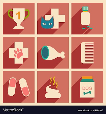 Flat with shadow concept and mobile application vector image