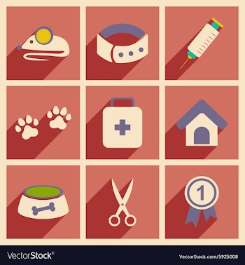 Flat with shadow concept and mobile application vector image