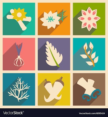 Flat with shadow concept and mobile application vector image