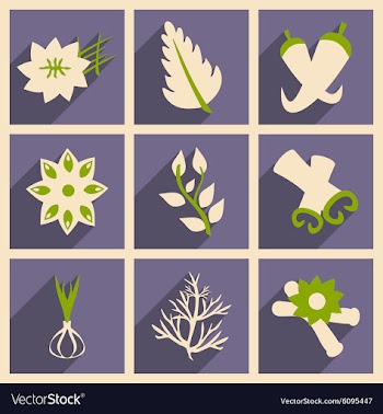 Flat with shadow concept and mobile application vector image