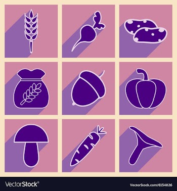 Flat with shadow concept and mobile application vector image