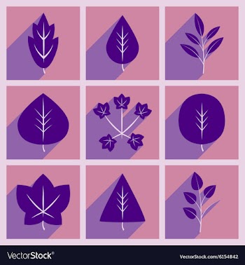 Flat with shadow concept and mobile application vector image