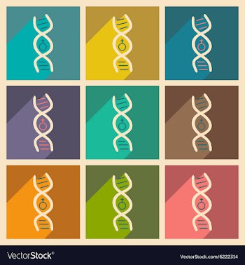 Flat with shadow concept and mobile application vector image