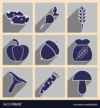 Flat with shadow concept and mobile application vector image