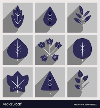 Flat with shadow concept and mobile application vector image