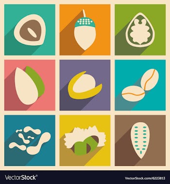 Flat with shadow concept and mobile application vector image