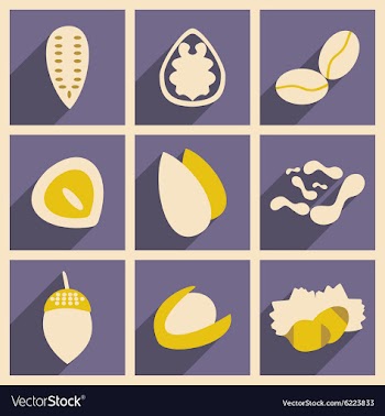 Flat with shadow concept and mobile application vector image
