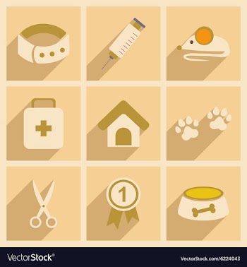 Flat with shadow concept and mobile application vector image