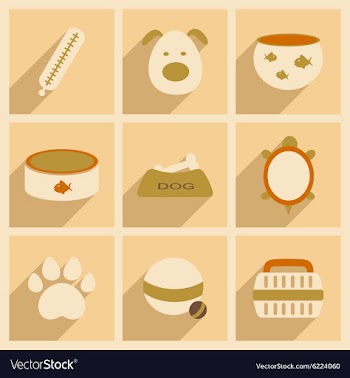 Flat with shadow concept and mobile application vector image