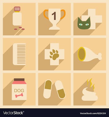 Flat with shadow concept and mobile application vector image