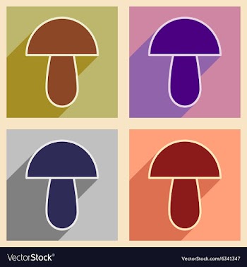 Flat with shadow concept and mobile application vector image