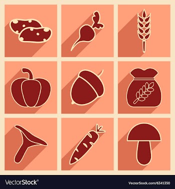 Flat with shadow concept and mobile application vector image