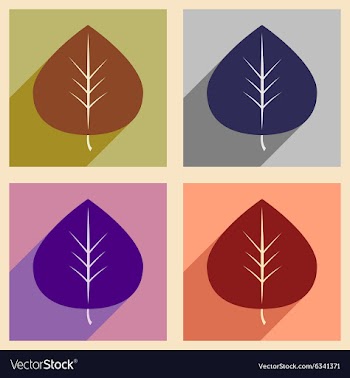 Flat with shadow concept and mobile application vector image