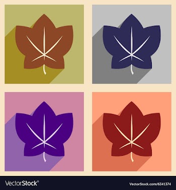 Flat with shadow concept and mobile application vector image
