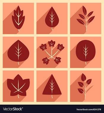 Flat with shadow concept and mobile application vector image