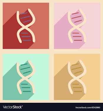 Flat with shadow concept and mobile application vector image