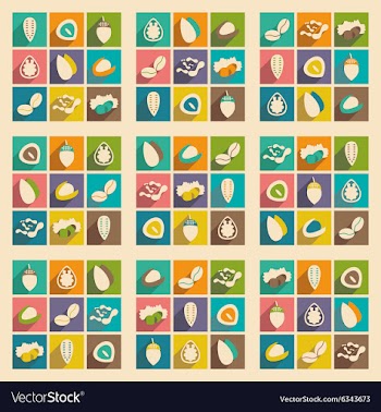 Flat with shadow concept and mobile application vector image