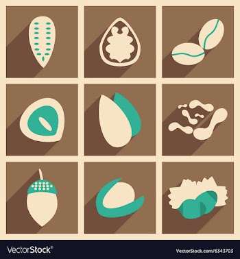 Flat with shadow concept and mobile application vector image