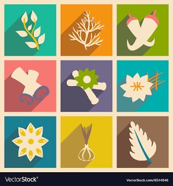 Flat with shadow concept and mobile application vector image