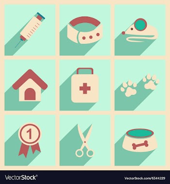 Flat with shadow concept and mobile application vector image