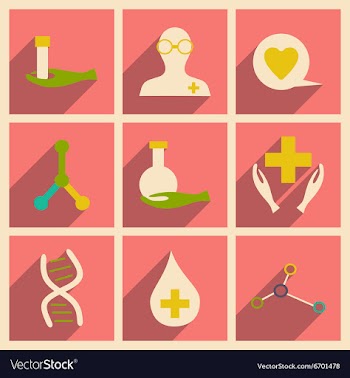 Flat with shadow concept and mobile application vector image