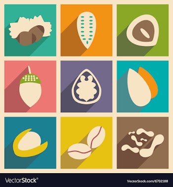 Flat with shadow concept and mobile application vector image