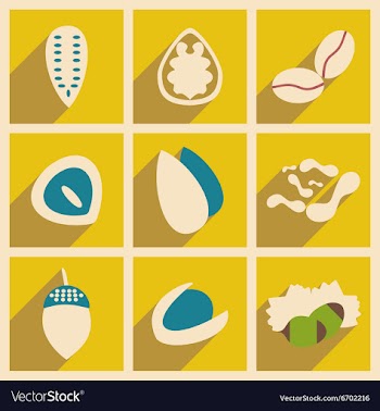 Flat with shadow concept and mobile application vector image