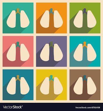 Flat with shadow concept and mobile application vector image