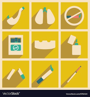 Flat with shadow concept and mobile application vector image