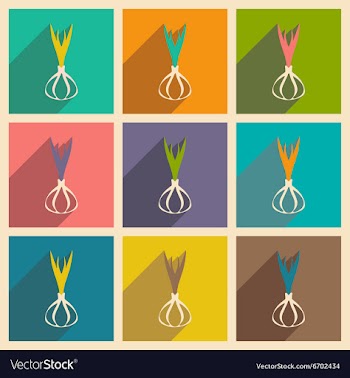 Flat with shadow concept and mobile application vector image