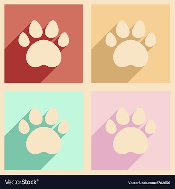 Flat with shadow concept and mobile application vector image