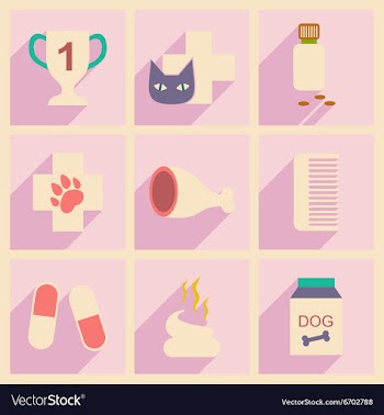 Flat with shadow concept and mobile application vector image
