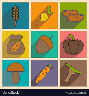 Flat with shadow concept and mobile application vector image