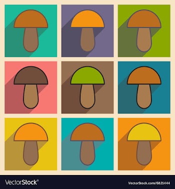 Flat with shadow concept and mobile application vector image