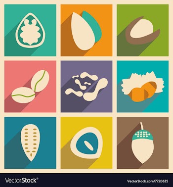 Flat with shadow concept and mobile application vector image