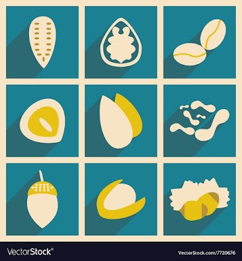 Flat with shadow concept and mobile application vector image