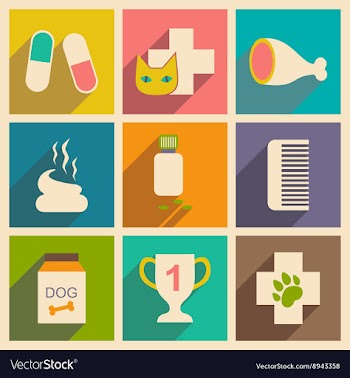 Flat with shadow concept and mobile application vector image