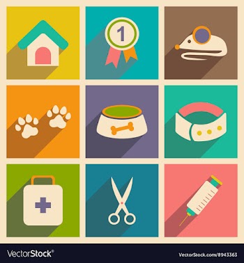 Flat with shadow concept and mobile application vector image