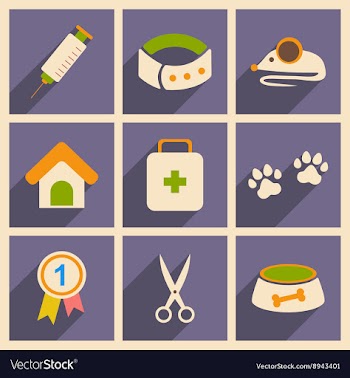 Flat with shadow concept and mobile application vector image