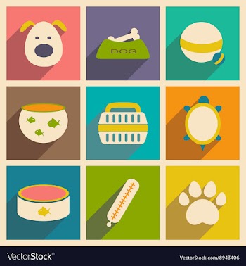 Flat with shadow concept and mobile application vector image