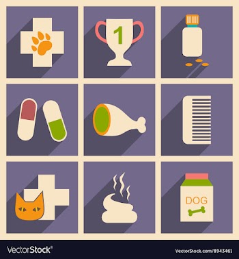 Flat with shadow concept and mobile application vector image