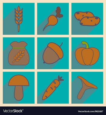 Flat with shadow concept and mobile application vector image