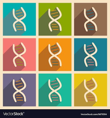 Flat with shadow concept and mobile application vector image