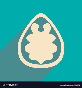 Flat with shadow concept and mobile application vector image