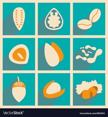Flat with shadow concept and mobile application vector image
