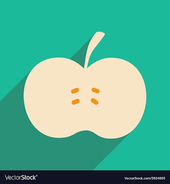 Flat with shadow icon and mobile applacation apple vector image