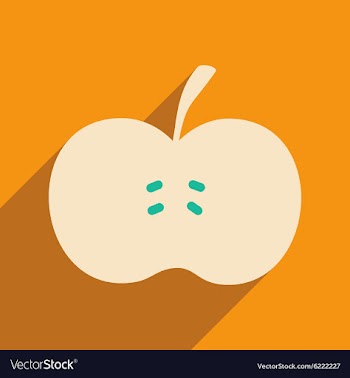 Flat with shadow icon and mobile applacation apple vector image